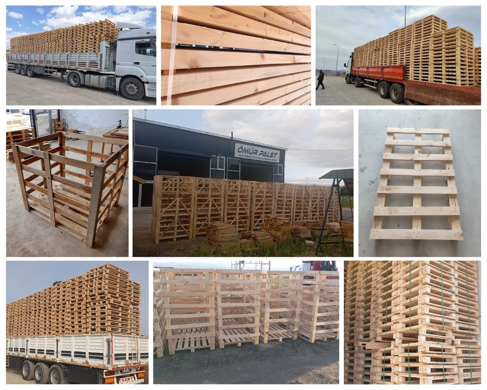 Kessel-Lo Houten Kisten, Europallets Groothandel Kopen